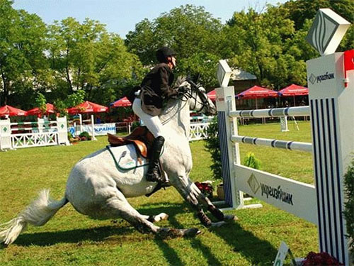 Comment franchir un obstable à cheval