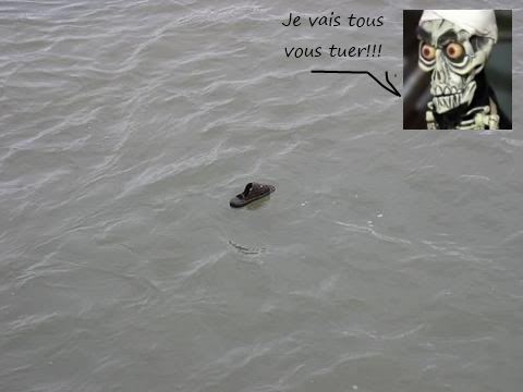 photo mort ben laden en mer